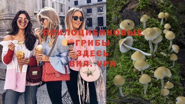 не бодяженный Магас