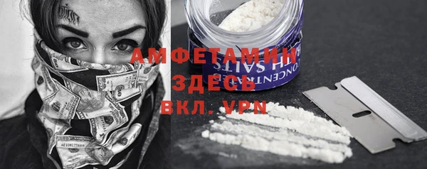 гидра Майский